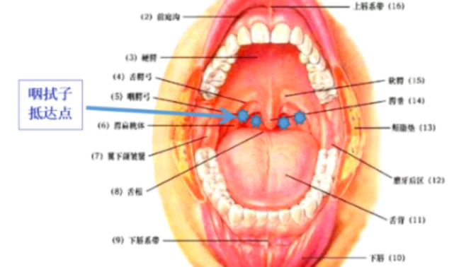 圖片